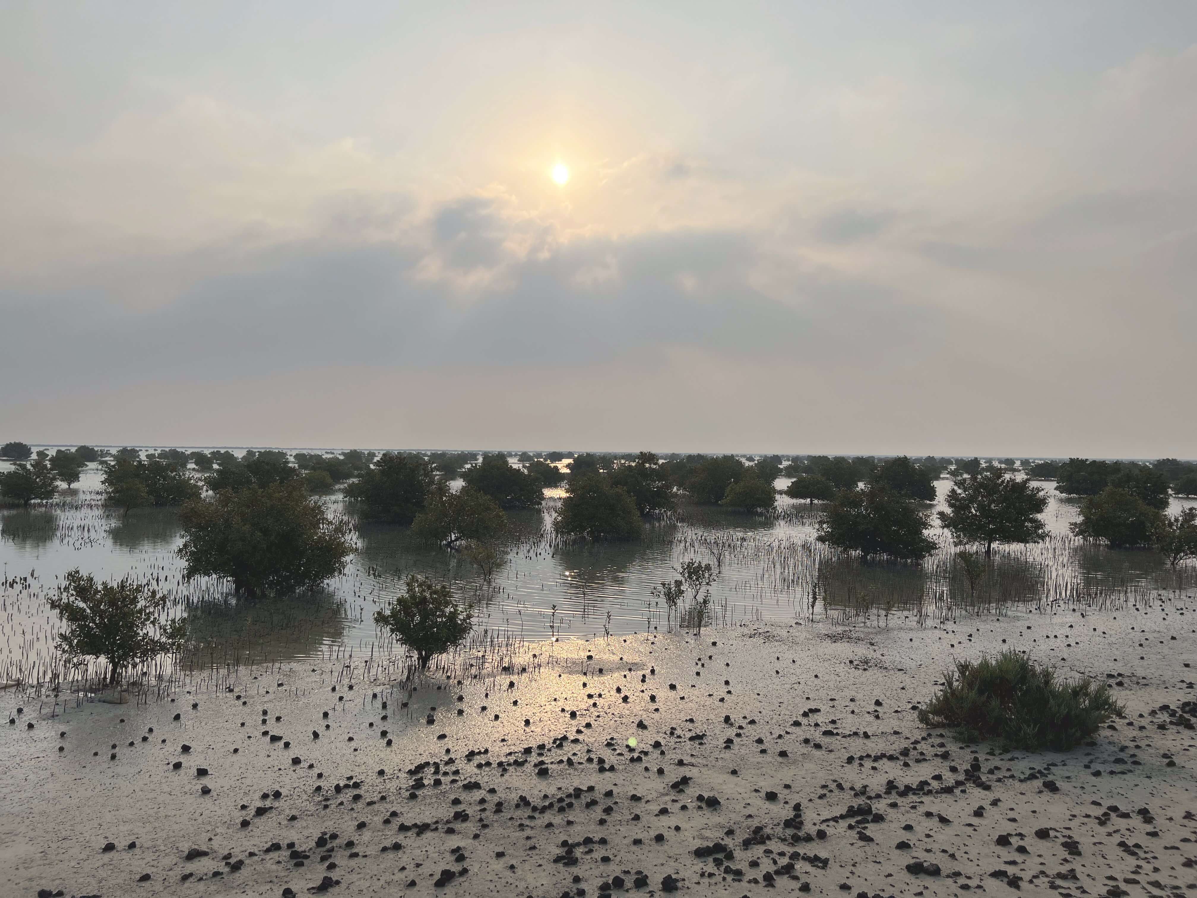 The Financial Imperative for Investing in Nature-Based Solutions