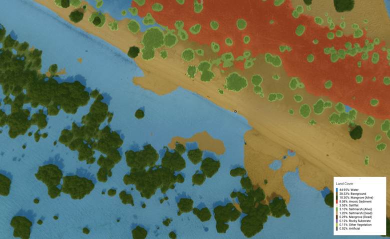 Drawing the Boundaries: Understanding Mangrove Extent in a Changing Landscape